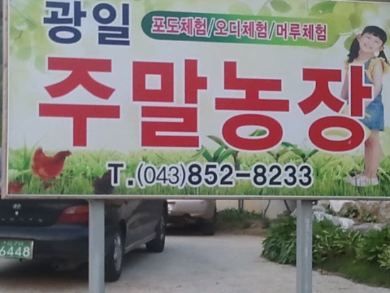 광일농장 이미지