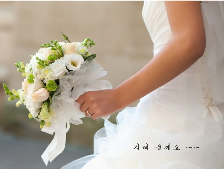 에스진 이미지