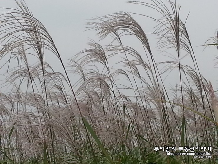 우쿠루쿠 이미지