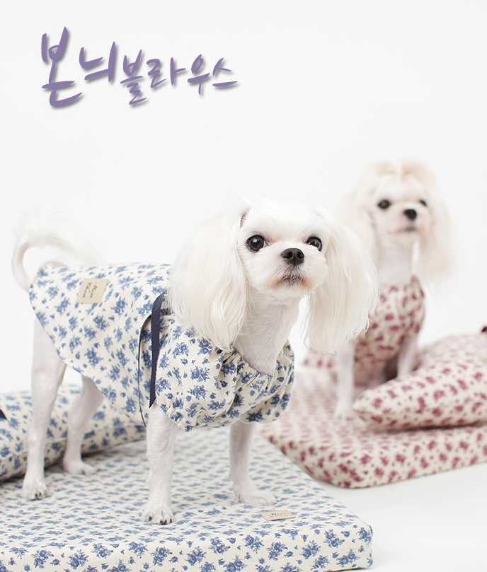(주)다린 이미지