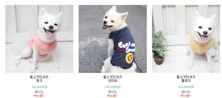 필소굿 이미지