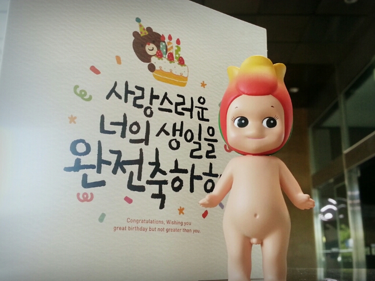 마리에소니 이미지