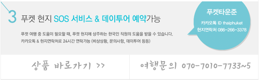현진여행사 이미지