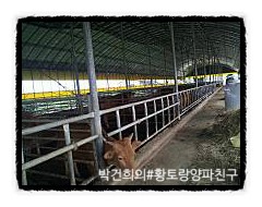 청천인력 이미지
