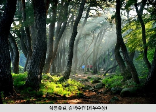 그랜트리 이미지