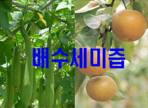 현대물산 이미지