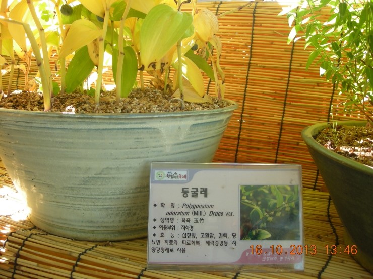 지리산양봉원 이미지