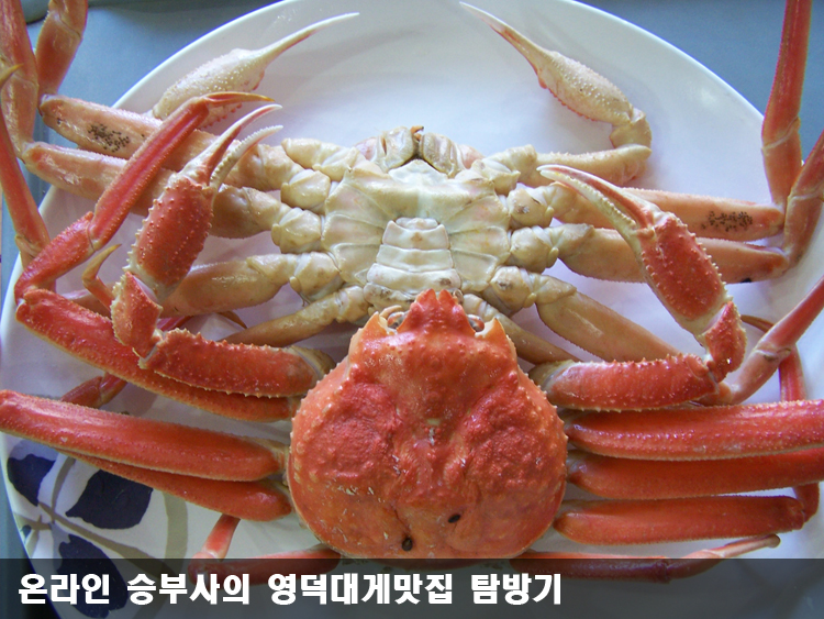 산호대게직판장 이미지