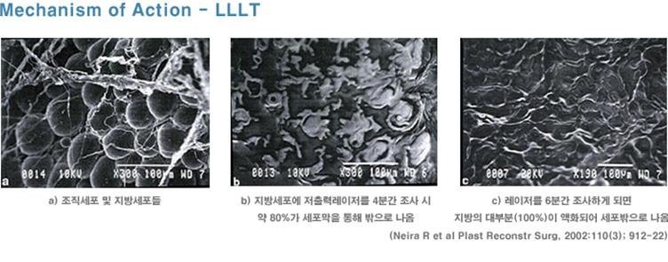 PC클리닉 이미지