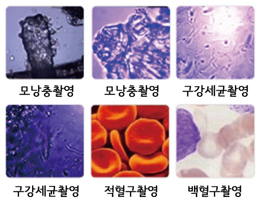 와이즈텍 이미지