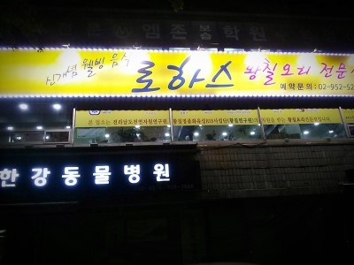 로하스황칠오리 이미지