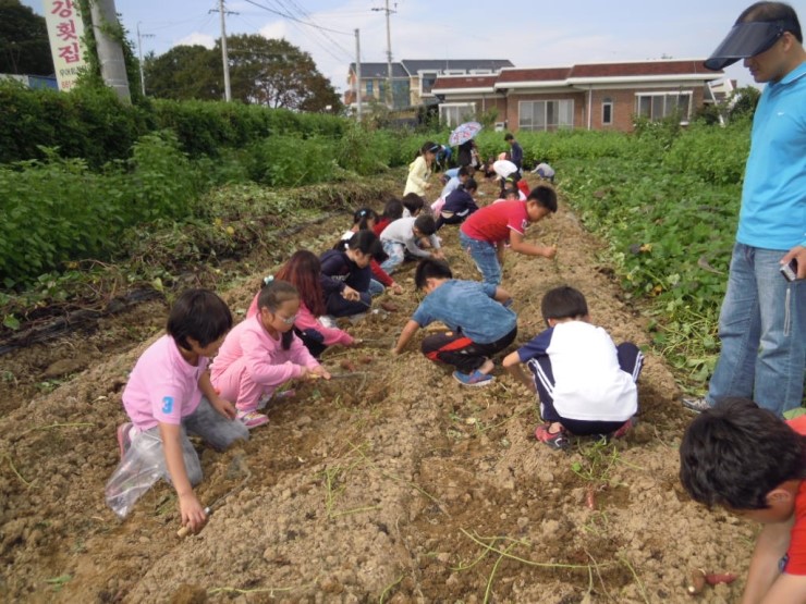이리삼성초등학교 이미지