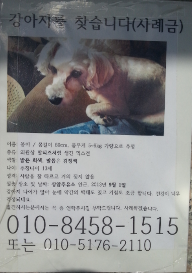 상암주유소 이미지