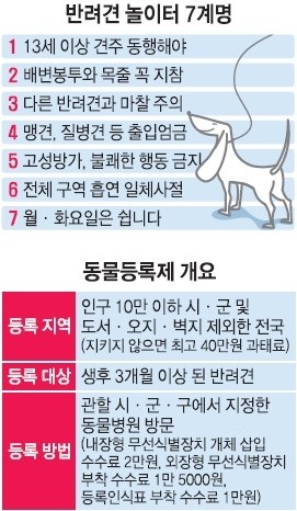 짱놀이터 이미지