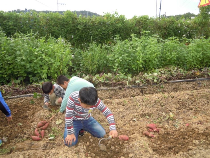 이리삼성초등학교 이미지