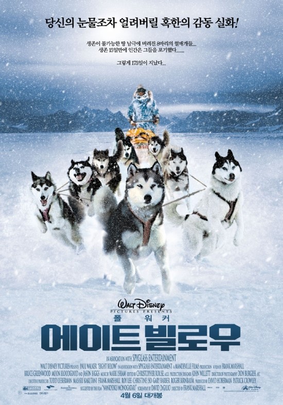 에덴석유 이미지
