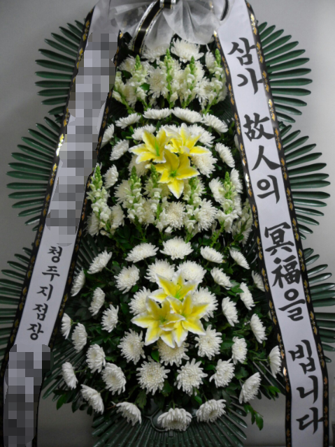 OK식물원 이미지