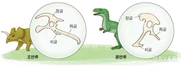 더조반 이미지
