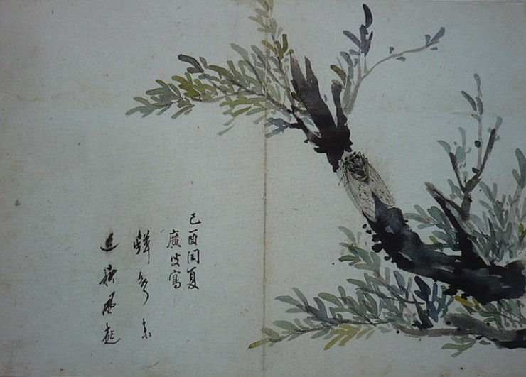 명선화원 이미지