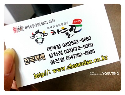 태백하늘소 이미지