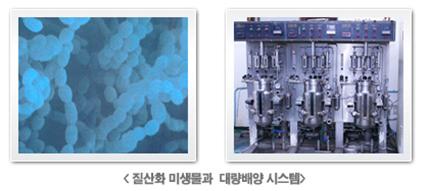 네스시스템 이미지