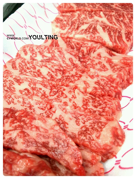 태백하늘소 이미지