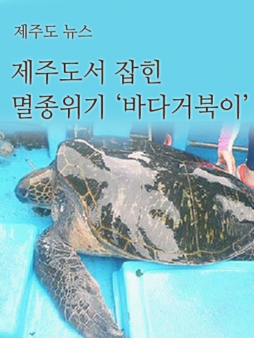 피앤피제주 이미지
