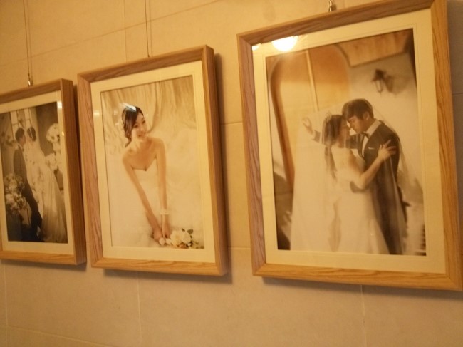 영진어페럴 이미지