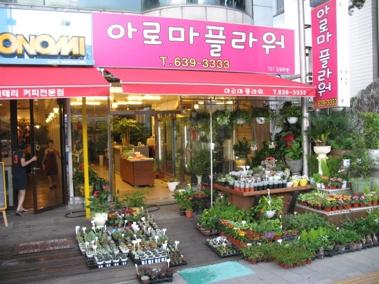 아로마플라워 이미지