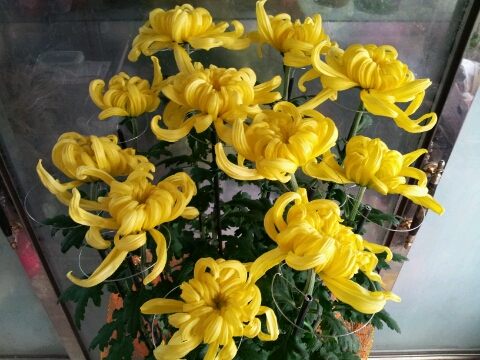 OK식물원 이미지