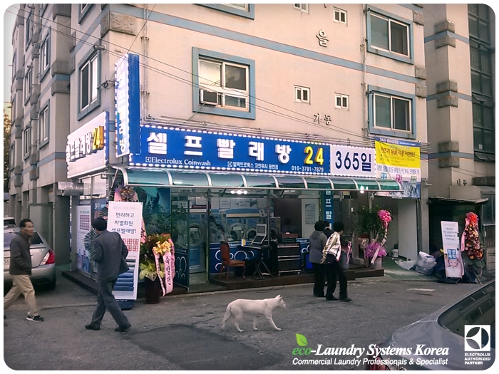 와우빨래방 이미지