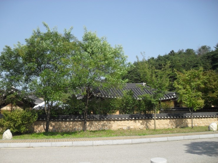 태백안동축산 이미지