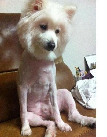 카페205 이미지