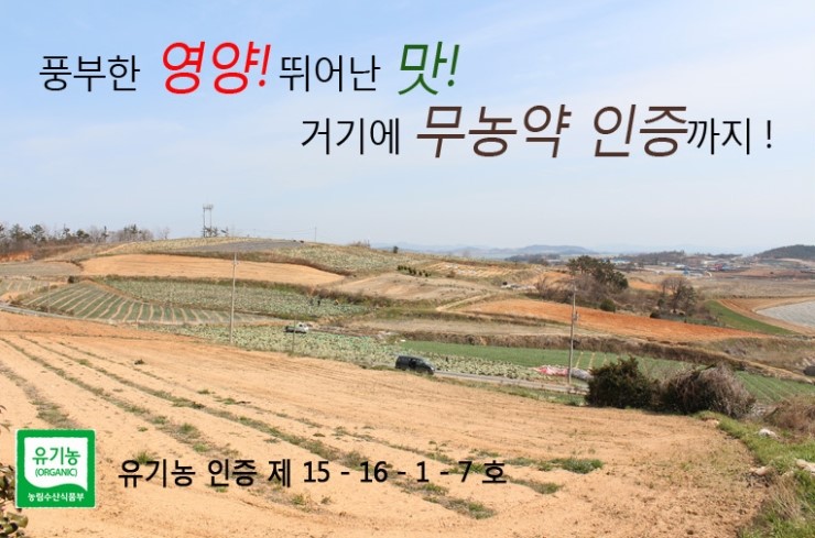 등대유기영농조합법인 이미지