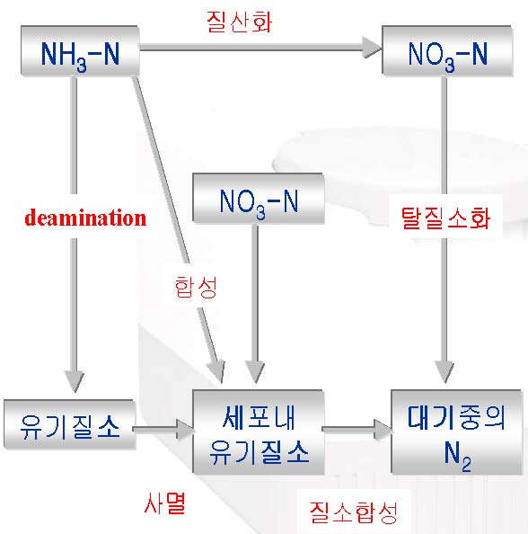 질소 성분의 단계별 구분 : 네이버 블로그