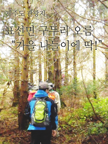 피앤피제주 이미지