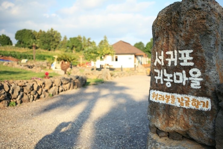 나무향기민박 이미지