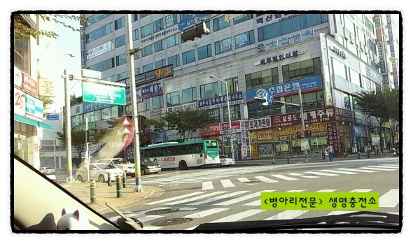 물의나라수족관 이미지