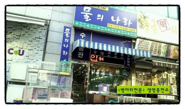 물의나라수족관 이미지