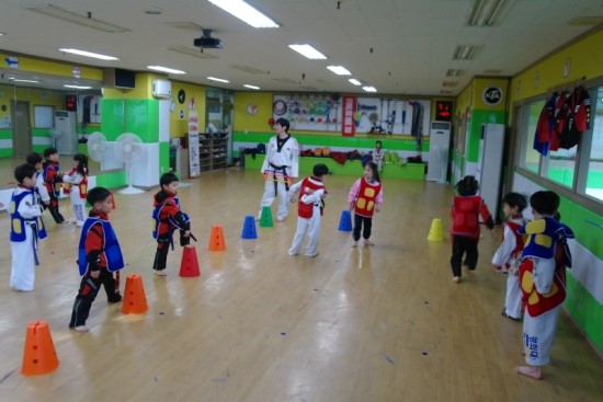 한국태권도컨설팅 이미지