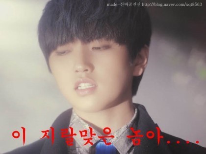여우날다 이미지