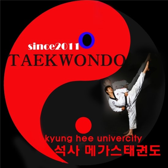 한국태권도컨설팅 이미지