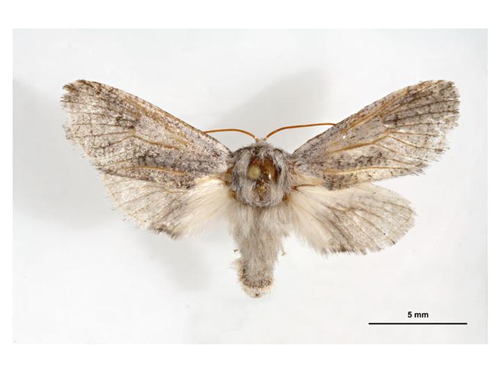 [Information] 생먹이 곤충 들에대한 성분비교와 고찰!(스압 허나 유용함) 네이버 블로그