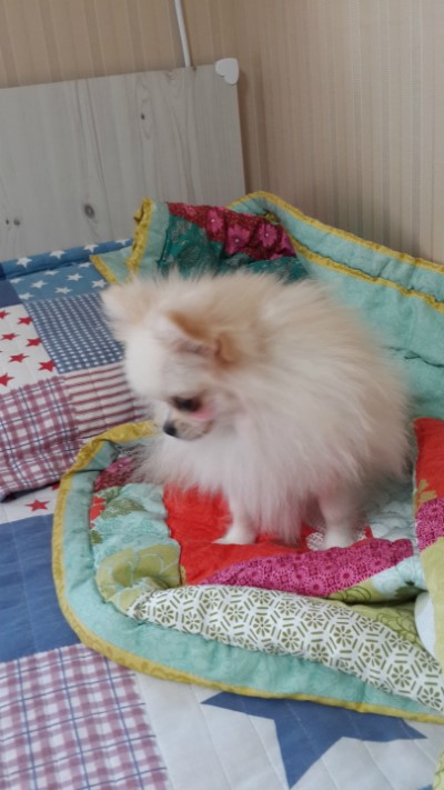 연지곤지화장품 이미지
