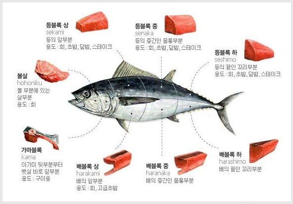 참치플러스 이미지