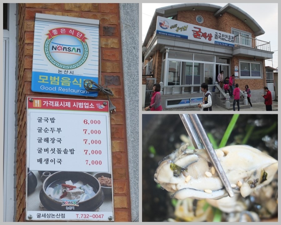 굴세상 이미지