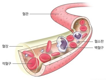 글로진 이미지