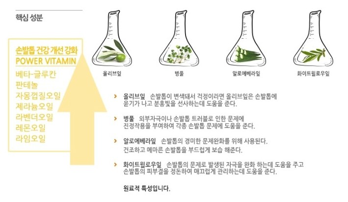 네일모두 이미지