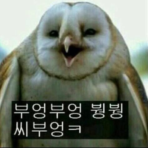닥터허브 이미지