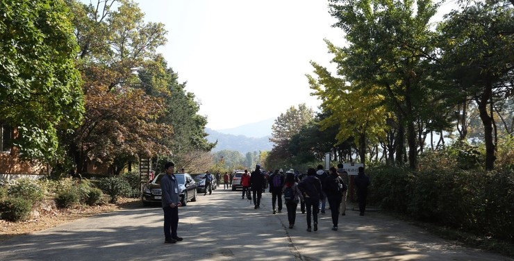 고려대학교 덕소농장 이미지